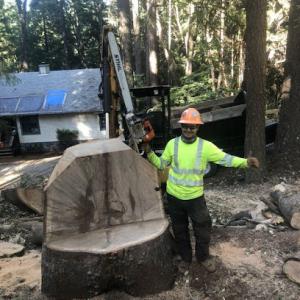 Western Sierra Tree Service