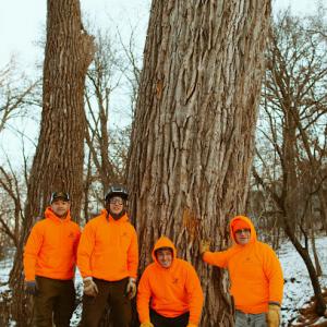Neighborhood Tree Care