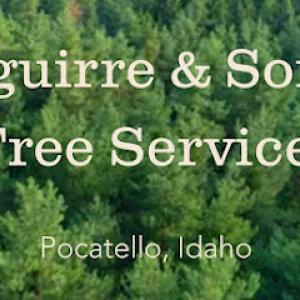 Aguirre & Sons Tree Service