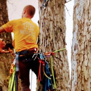 J.S.K Tree Service