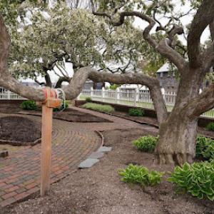 Shady Grove Tree Care