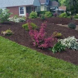 Waybetter Landscaping