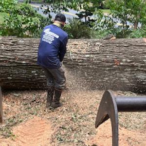 Woodmen's Tree Service