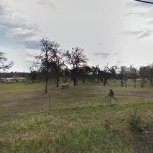 Redding Stump Grinders