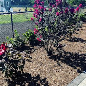 Xterra tree service & masonry