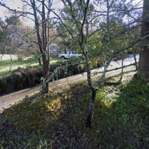 Sturgeon Tree Service