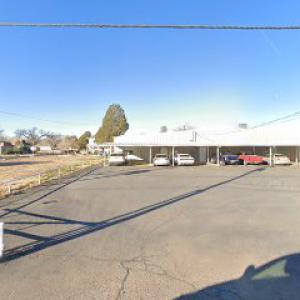 Roswell Tree Services