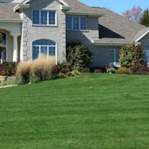 Cutting edge lawn care