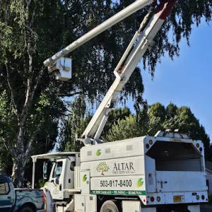 Altar Tree Service