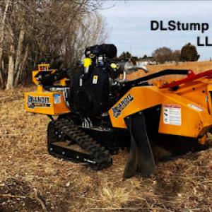 DL Stump Removal