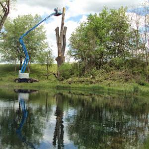 Stevenson Arbor Care