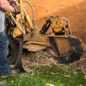 San Angelo Stump Removal