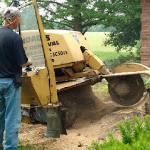 Rhoad's Stump Removal