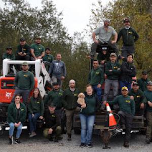 Sandborn Tree Service