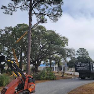 Schnelloggers Tree Service & Removal