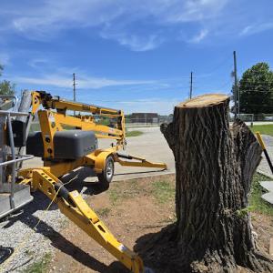 Midwest Tree Removal Services