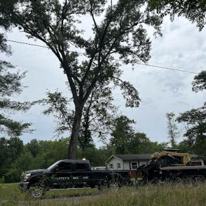 Guffey’s Tree Care