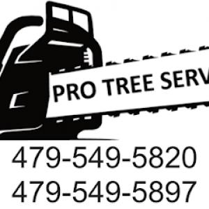 Pro Tree Service