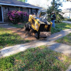 Hank's Stump Grinding of Slidell