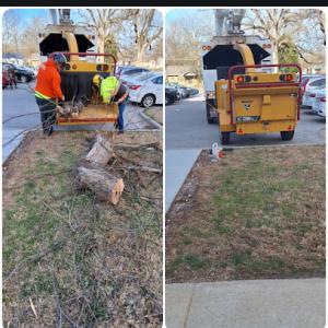 4 Seasons Tree Service