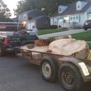 Cj's Lawn & Tree Service