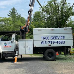 MM Tree Services