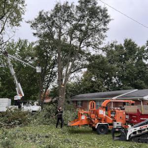 Shepherds Lawn & Tree Service