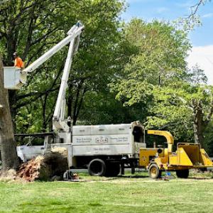 McLain Tree & Landscaping