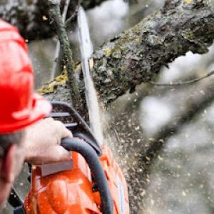 Smelser's Tree Service