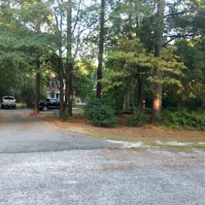 A Notch Above Tree & Lawn Care