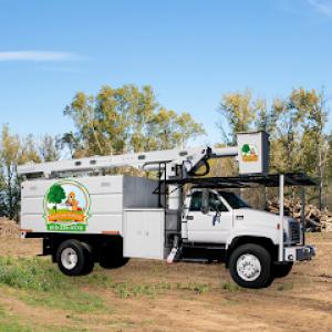 Beaver Tree Trimming