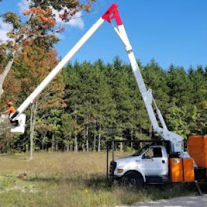 Parshall Tree Care Experts