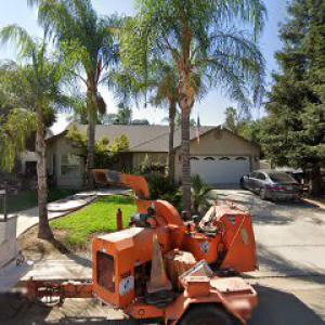 All Valley Tree Service