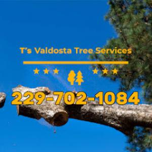 T's Valdosta Tree Services