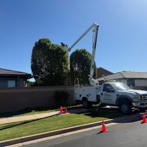The Oasis Tree Service