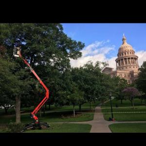 TreeMD Certified Tree Care