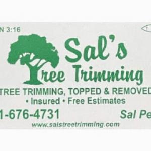Sal's Tree Trimming