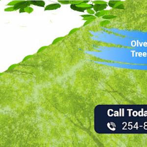 Olvera Tree & Yard Services