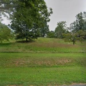 Cavalier Tree Service