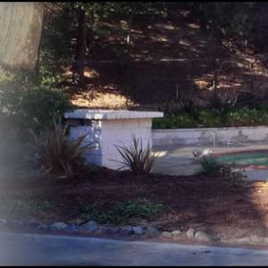 Arcadian Tree Service & Landscape