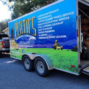 Platas tree service