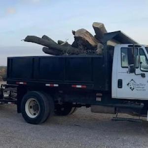 Texas Tree & Landscape