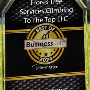 Flores Tree Services Climbing To The Top