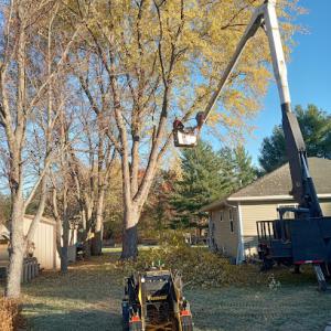 A-1 Tree Service of Central Wisconsin