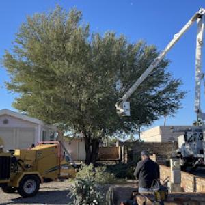 Lawn Care Specialist