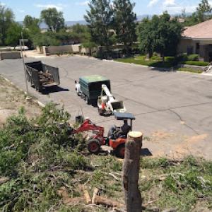 American Tree Company