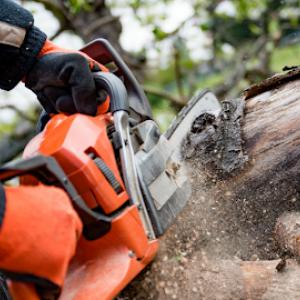 Valkyrie Tree Service