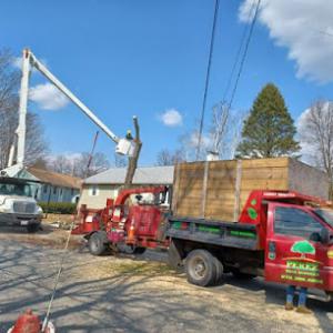 Perez Tree Service & Hardscaping