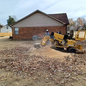 Brothers Stump Grinding