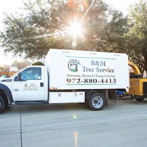 B&M Tree Service
